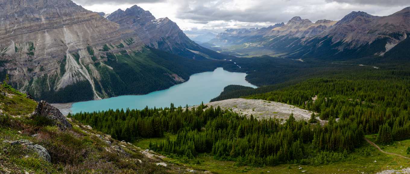 Peyto lake