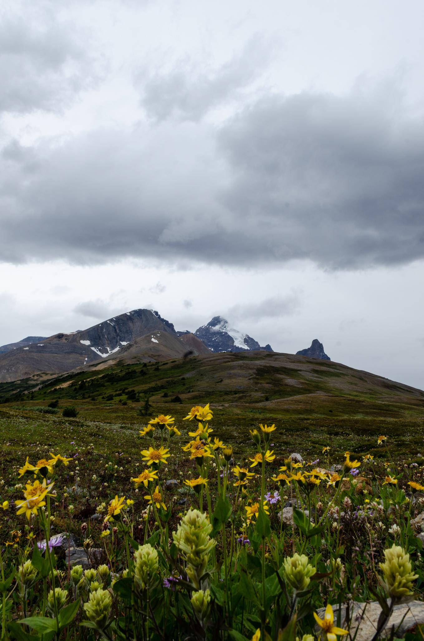 Mountains